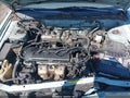 1996 Nissan Sentra — photo 10 of 18 | VIN 1N4AB41D9TC786431
