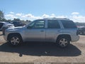 2007 Chevrolet Trailblazer — photo 14 of 16 | VIN 1GNDS13S972215932