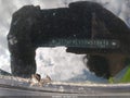 2013 Toyota RAV4 — photo 9 of 16 | VIN 2T3WFREV5DWO19419