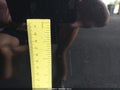 2020 Chevrolet Malibu — photo 13 of 21 | VIN 1G1ZC5ST3LF153274