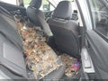 2019 Subaru Crosstrek — photo 8 of 16 | VIN JF2GTAEC1K8393107