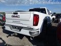 2023 GMC Sierra — photo 4 of 15 | VIN 1GT49PEY3PF166941