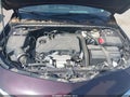 2020 Chevrolet Malibu — photo 10 of 17 | VIN 1G1ZG5ST9LF049974