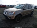 2006 Honda CR-V — photo 2 of 16 | VIN JHLRD78976C019095