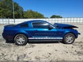 2008 Ford Mustang — photo 14 of 17 | VIN 1ZVHT80N685134348