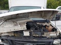 2004 Ford E-350 — photo 5 of 6 | VIN 1FDWE35LX4HA96772