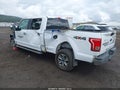 2015 Ford F-150 Lightning — photo 3 of 21 | VIN 1FTFW1EF3FKD72568
