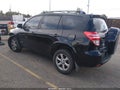 2009 Toyota RAV4 — photo 3 of 16 | VIN JTMBK31V49D002001
