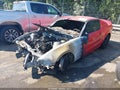 2014 Ford Mustang — photo 2 of 10 | VIN 1ZVBP8AM7E5308133