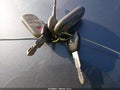 2006 Acura MDX — photo 18 of 18 | VIN 2HNYD18816H526885