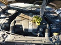 2001 Mercedes-Benz C-Class — photo 10 of 16 | VIN WDBRF64J51F059232