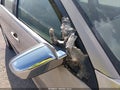 2006 Lincoln Zephyr — photo 6 of 12 | VIN 3LNHM26176R642187