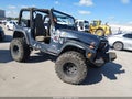 2004 Jeep Wrangler — photo 1 of 17 | VIN 1J4FA29164P700983