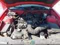 2010 Ford Mustang — photo 10 of 11 | VIN 1ZVBP8AN1A5106763