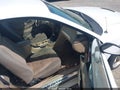 2004 Ford Mustang — photo 5 of 11 | VIN 1FAFP40684F211554
