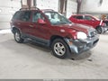 2004 Hyundai Santa Fe — photo 1 of 16 | VIN KM8SC13E04U762056
