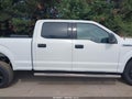 2020 Ford F-150 — photo 13 of 16 | VIN 1FTFW1E56LFB22401