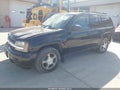 2008 Chevrolet Trailblazer — photo 2 of 12 | VIN 1GNDT13S982103744