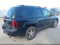 2008 Chevrolet Trailblazer — photo 4 of 12 | VIN 1GNDT13S982103744