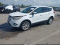 2019 Ford Escape — photo 2 of 17 | VIN 1FMCU9G96KUB07457