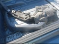 2021 Jeep Gladiator — photo 12 of 17 | VIN 1C6JJTBM7ML588221