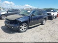 2008 Chevrolet Trailblazer — photo 2 of 14 | VIN 1GNDT13S982229151