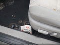 2014 Toyota Camry — photo 6 of 11 | VIN 4T4BF1FK2ER358062