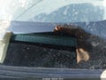 2010 Toyota Prius — photo 13 of 16 | VIN JTDKN3DU7A1015325