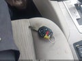 2013 Subaru Outback — photo 11 of 11 | VIN 4S4BRBCC0D3300685