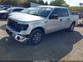 2010 Ford F-150 — photo 2 of 17 | VIN 1FTEW1C88AFC97156