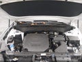 2025 Kia Telluride — photo 10 of 21 | VIN 5XYP54GC1SG673447