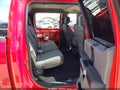 2019 Ford F-150 — photo 8 of 18 | VIN 1FTEW1C58KKC31267