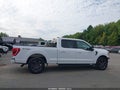 2021 Ford F-150 — photo 14 of 17 | VIN 1FTFW1E81MKD88637