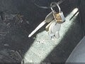 2000 Toyota Echo — photo 11 of 17 | VIN JTDBT1239Y0091729