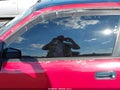 1996 Toyota Camry — photo 17 of 19 | VIN 4T1CF12K1TU133102