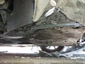 2025 Honda Civic — photo 11 of 16 | VIN 19XFL2H81SE000381