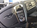 2024 Ford Mustang Mach-E — photo 11 of 18 | VIN 3FMTK3R70RMA22725