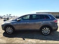 2008 Mazda CX-9 — photo 13 of 15 | VIN JM3TB28V380152425