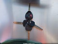 2007 Toyota RAV4 — photo 11 of 13 | VIN JTMBK31V076023624