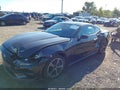 2024 Ford Mustang — photo 2 of 16 | VIN 1FA6P8TH8R5110709