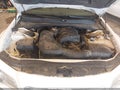 2012 Chrysler 300 — photo 10 of 16 | VIN 2C3CCAHG3CH156761
