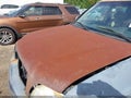2004 Toyota Tundra — photo 12 of 13 | VIN 5TBET34174S448037