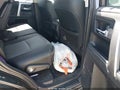 2020 Toyota 4Runner — photo 8 of 17 | VIN JTEZU5JR6L5223247