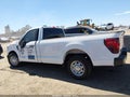 2024 Ford F-150 — photo 15 of 17 | VIN 1FTMF1KP0RKF39672