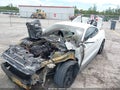 2019 Ford Mustang — photo 13 of 13 | VIN 1FA6P8THXK5105453