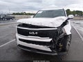 2022 Kia Telluride — photo 12 of 16 | VIN 5XYP6DHC2NG293551