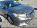 2013 Honda Accord — photo 14 of 20 | VIN 1HGCR2F35DA234300