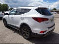 2018 Hyundai Santa Fe — photo 3 of 16 | VIN 5NMZWDLA5JH087767