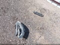 2023 Nissan Sentra — photo 12 of 17 | VIN 3N1AB8DV0PY236993