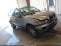 2005 BMW X5 — photo 1 of 15 | VIN 5UXFA13585LY06984